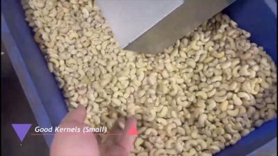 China 304 SS roestvrij staal cashew sorteringsmachine met 12 slimme afzetpunten en een AI-gestuurd classificatiesysteem Te koop