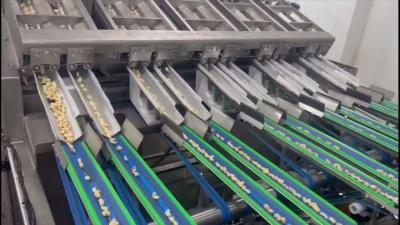 China Automatic Cashew Color Sorter with Chain Conveyor, 360-Degree Nut Rotation, and Computer-Controlled Defect Detection for sale
