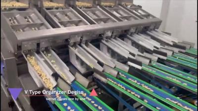China Air Pressure 0.6 MPa AI Vision Cashew Sorting Line for High Output and Professional-Grade Defect Elimination for sale