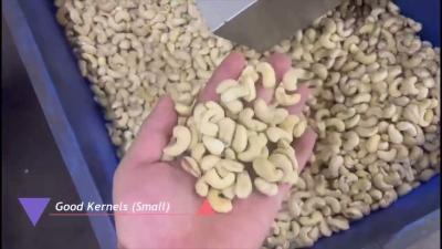 China Advanced Cashew Sorting Equipment For Vietnamese Processors With Local Support And AI-Driven Nut Sorting for sale