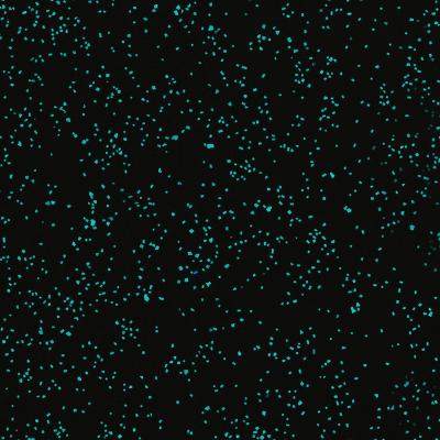 China Modern Inorganic High Strength Terrazzo Luminous Panel for sale