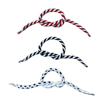 China Factory wholesale 3-6mm color polyester /pp/ cotton sustainable hand rope with plastic tip bag rope handle for sale
