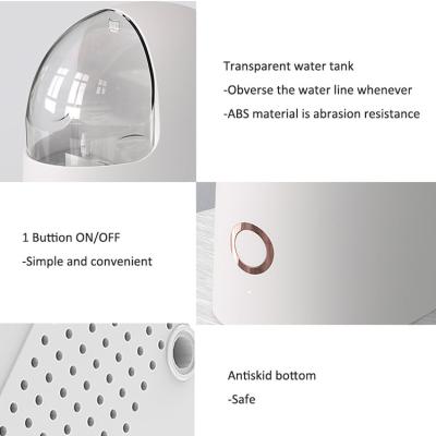 China Handy Refillable Moisturizer Nano Mister Facial Spray For Beauty Face Care Machine for sale
