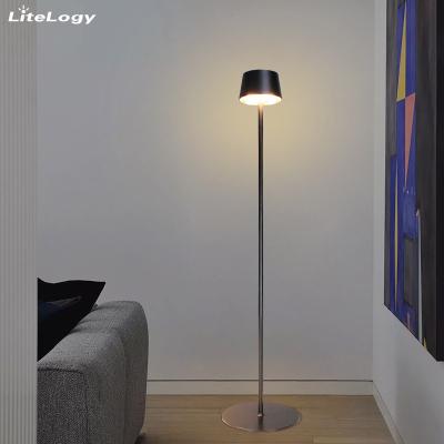 China Indoor outdoor garden decorative black cordless metal standing floor lamp nordic for living room modern for sale