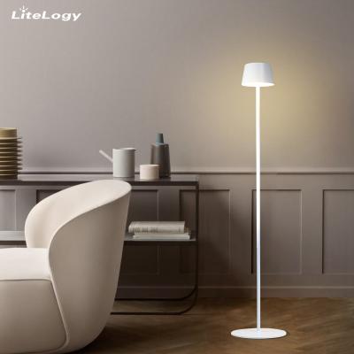 China Dimmable Aluminum Metal Waterproof Rechargeable Hotel Indoor Outdoor Nordic Modern Cordless Led Floor Lamps for sale