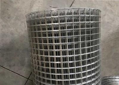 China Stainless Steel Welded Wire Mesh/ Stainless Steel Welded Mesh/Ss Welded Wire Mesh for sale