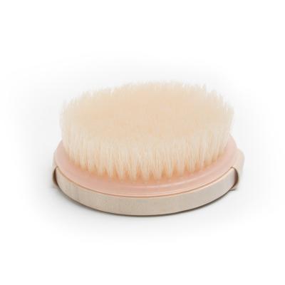 China Fibre-vrije borstelmassageborstel voor het exfolieren van cellulitis Te koop
