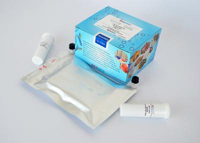 China Testes de leite de vaca Kit de teste de fluxo lateral BT Combo Strip Test Sensibilidade forte à venda
