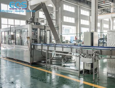China PET Bottle 3-in-1 Fruit Juice Filling Machine , Fruit Juice Bottling Plant RCGF24-24-8 for sale