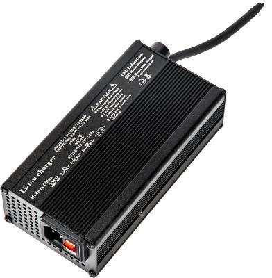 China Professional Manufacture High Speed Low Price Input 12V 24V 48V 150ah 200ah Lifepo4 Battery Charger Power High Power Adapter for sale