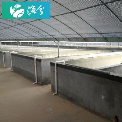 China 1000 square meters plant of CR-IS-1000' Aquatic Propagation System Circulating Water; ¡ for sale