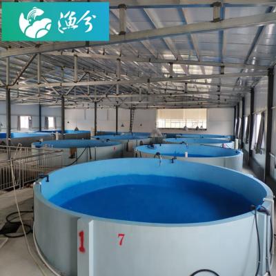 China Factory Circulating Water Large Scale Frying Mincing & Breeding Control System CR-IS-500™ ¡ for sale