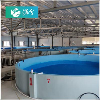 China RAS Aquaculture System Fish Farm Indoor Recycling Equipment for Grouper CR-IS-500ã ¡ for sale