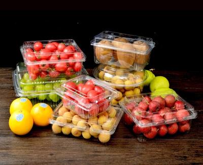China Disposable Clear Plastic Clamshell Fruit Packing Box Fresh Fruit Salad Blueberry Packaging Clamshell for sale