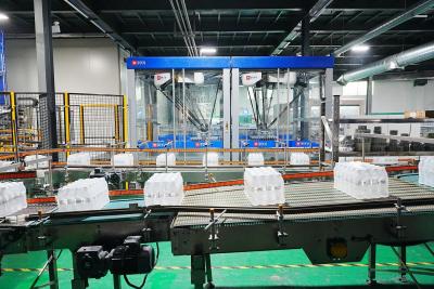 China Bag Conveying System Parcel Conveying System For 60000BPH Bottled Water Production Line for sale
