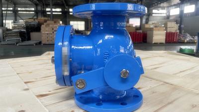 Chine Industrial Cast Iron Check Valve with Sturdy Construction à vendre