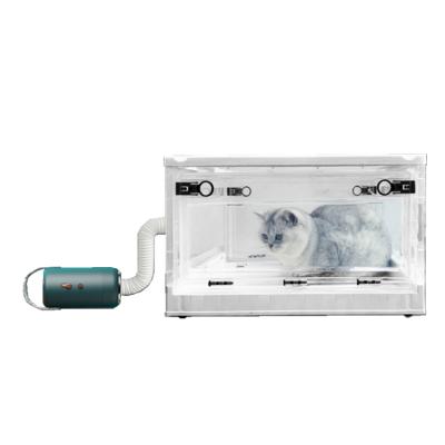 China Wholesale Stocked 800W Heating Speed Adjustable Nozzles Dog Hair Dryer Machine Pet Grooming Professional Dryer for sale