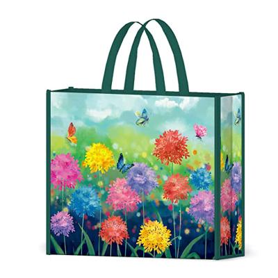 China Handled Laminated Eco Friendly Shopping Bag For Supermarket Customer for sale