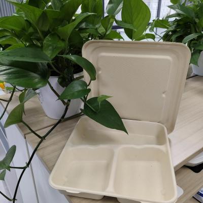 China Einweg-Lunchboxen aus pulpgeformtem Material, die umweltfreundlich sind, bestehen aus sterilen pflanzlichen Fasern und sind biologisch abbaubar. zu verkaufen