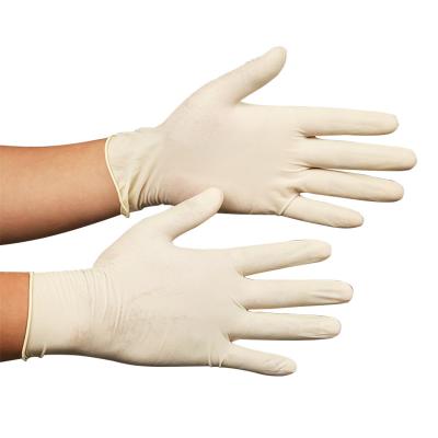 China Powder Free Disposable Latex Gloves for sale