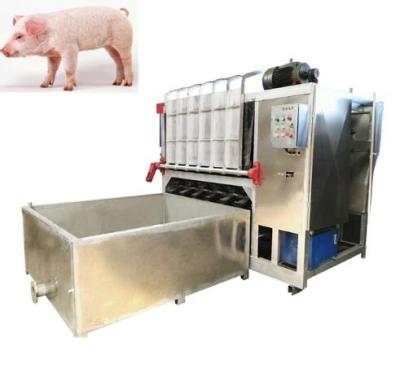 China Automatic High Speed Pig Scalding Tank And Destacking Machine For Pig Slaughtering Slaughterhouse Equipment for sale