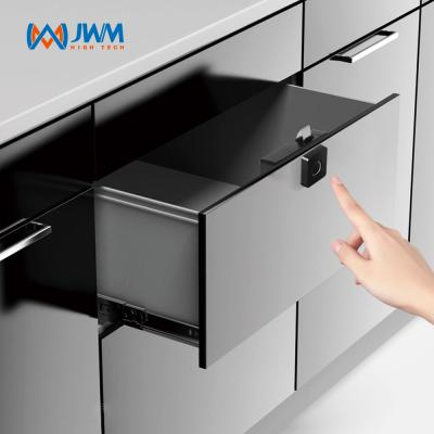 China Smart Electronic Mini Cabinet Fingerprint Keyless Lock For Mailbox for sale