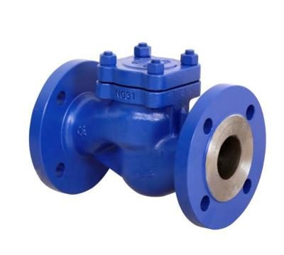 China Ansi 201 Stainless Steel Swing Check Valve Non Return en venta