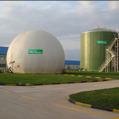China Automatic Tecon Gas Holder Anaerobic Biogas Gas Holder Dual Membrane for sale