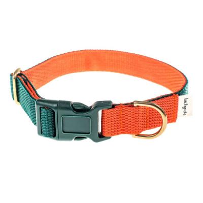 China Personalized Customize Free Sample Sensitive Adjustable Classic Nylon Material Webbing Designer Pet Training Collar For Dogs for sale