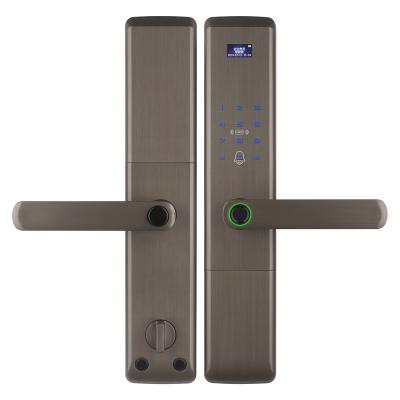 China Commercial Blue Hotel Bathroom Aluminum Tooth Fingerprint 100pcs User Card Finger Tuya Module Control Mortise Aluminum Smart Lock for sale