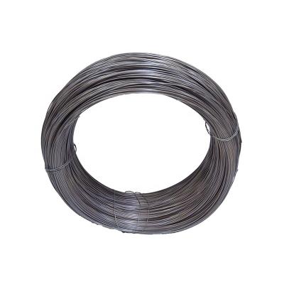 Cina Powder metallurgical heating wire Heating wire APM wire with good stability at high temperature for thermocouple protection tube in vendita