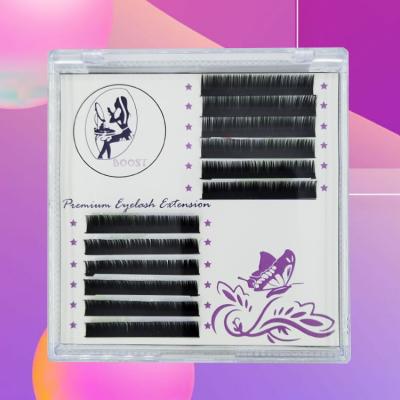China Natural Soft free samples custom black 9-20mm 0.05 D Curl Mix Tray Easy Fan Korean PBT Private Label Lash Extension for sale