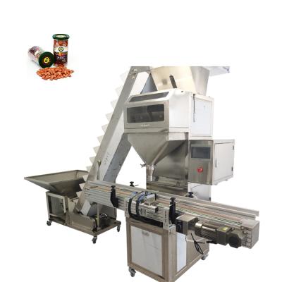 China Automatic Fully Automatic Pneumatic Machine Fast Speed Weighing And Filling Machine For Hydraulic Granular Materials for sale
