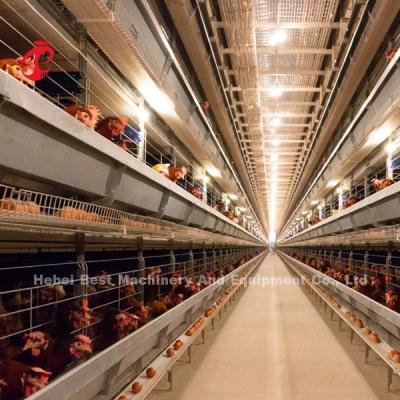 Chine Système de cage à batterie automatique pour élevage de volailles de type H à vendre