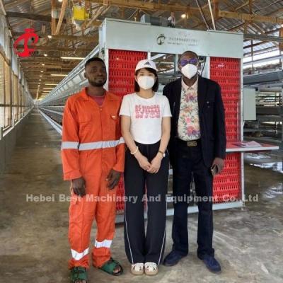 Chine Des cages d'élevage de volailles modernes avec un buveur de mamelons pour une éducation efficace à vendre
