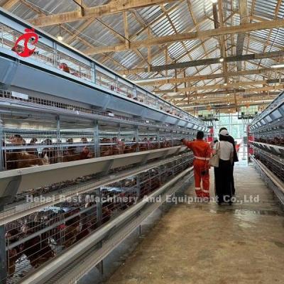 Chine Système de cage galvanisée importée de l'élevage de volailles pour la couche H type Doris à vendre