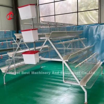 Chine 2.8mm-3.5mm Cage Wire Diameter Poultry Cage System Save Labor Increase Profits Iris à vendre