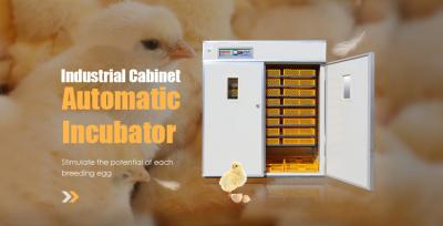 Chine Oeuf automatique industriel hachant le voyant à niveau visible de Double-couche d'incubateur 220v à vendre