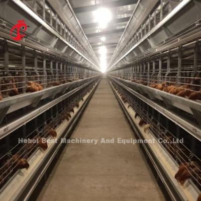 Chine La plupart de type populaire de H système automatique de cage d'aviculture pour la grande ferme Adela à vendre