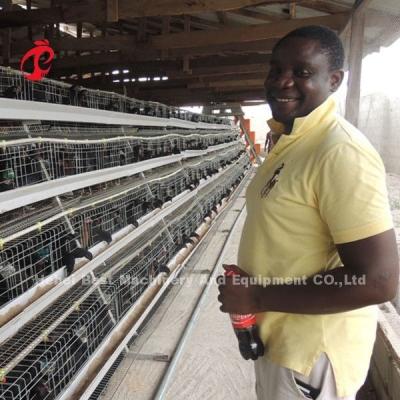 Chine Un type système de cage de batterie de couche de 160 capacités, cage Sandy de poulet de ponte d'oeufs à vendre