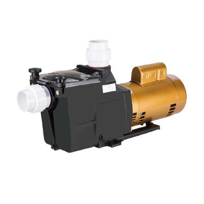 China Family Homes Baobiao OEM Controller Electric DC 220V 1HP 2HP 3HP Hydraulic Variable Speed In Ground Swimming Pool Suction Pump Housing Set for sale