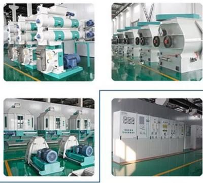 Cina Macchine per la produzione di pellet di mangimi per bovini, robiti, polli e polli per mangimi per animali tipo 5 t/h in vendita