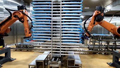 China KR C4 Controller Equipped Robot Food Technology KUKA KR60-3 Industrial Robot Cell for sale