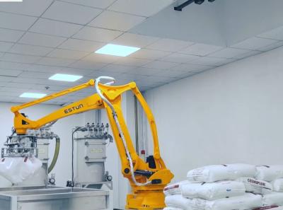 China Handling Roboter China ESTUN ER120 Palletizing Robots Work for sale
