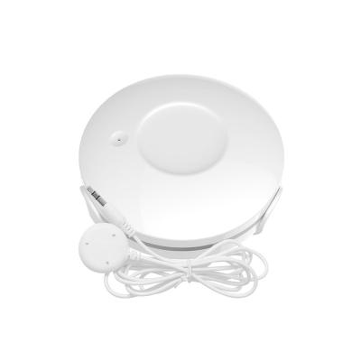 China Water sensor alarm Smart home device smartthings water leak sensor work with Amazon Alexa/Google Assistant W1 for sale