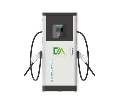 China 60kW 120kW 160kW 240kW vloeropgeladen CCS1 CCS2 Commercieel DC Ev-oplaadstation OCPP1.6J APP Elektroauto-oplaadstation Te koop