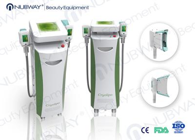 중국 아름다움 장비 공동현상 cryolipolysis 체중을 줄이기 체중을 줄이는 CoolSculpting rf cryolipolysis 판매용