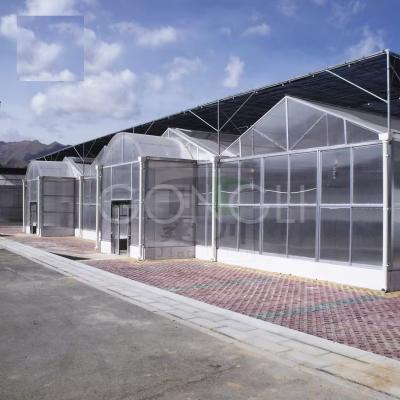 China 8mm Polycarbonate Greenhouse Sheet Foldable Covering Multi Span 15x30 With Hydroponic System for sale