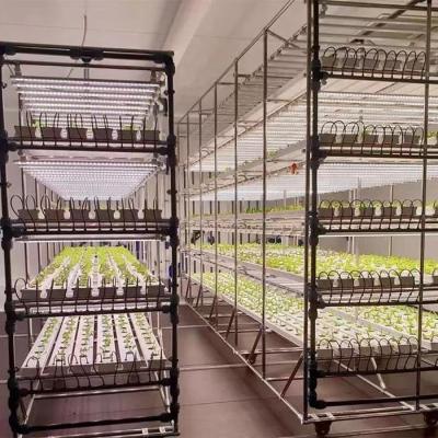 China Vegetable Fruits Flowers agriculture products vertical tower hydroponics lettuce nft channel container farming greenhouse for greens vegetables for sale