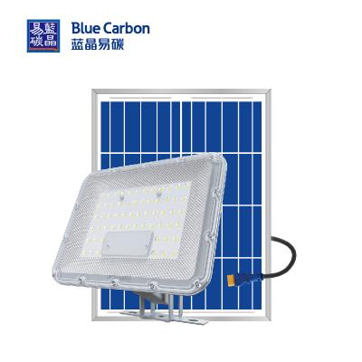 China Remote Control Theme Park LED Flood Light Solar Waterproof Outdoor Garden Street Path Yard Lamp for sale